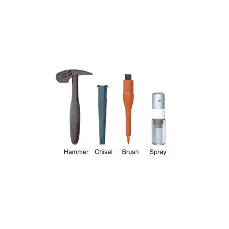 Dinosaur Skeletion Dig Kit