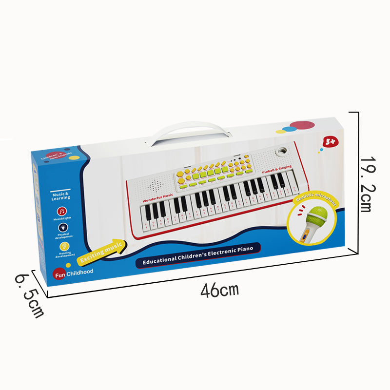Electronic Organ With Ic