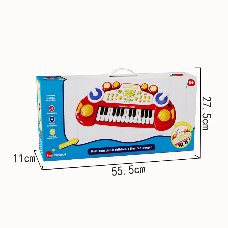 B/O Organ With Ic