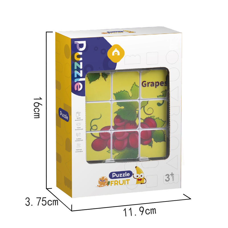 6 Asstd Magnetic Puzzle