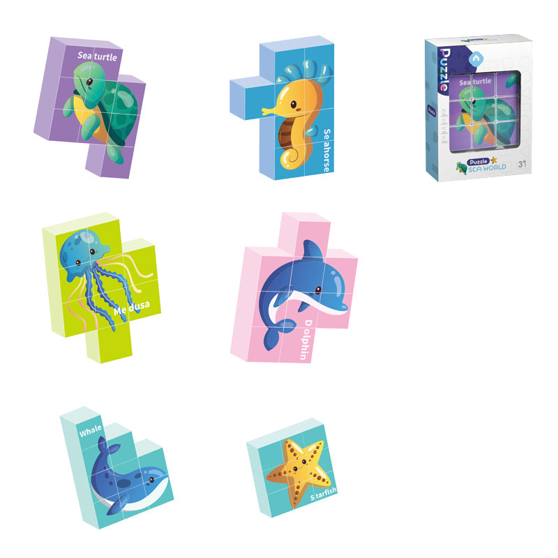 6 Asstd Magnetic Puzzle