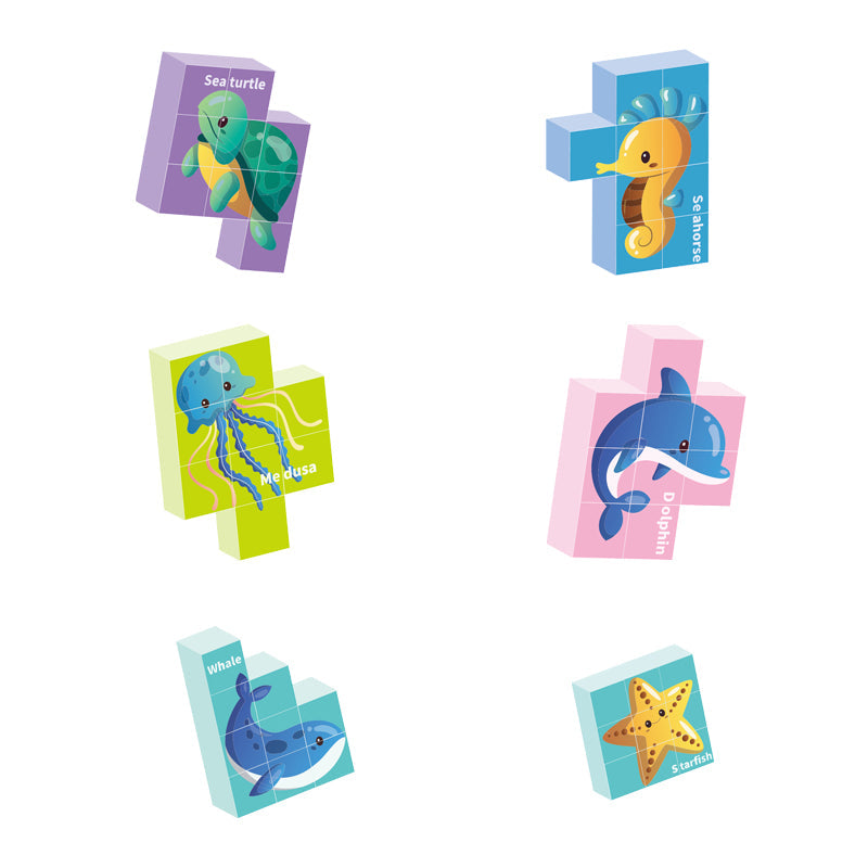 6 Asstd Magnetic Puzzle