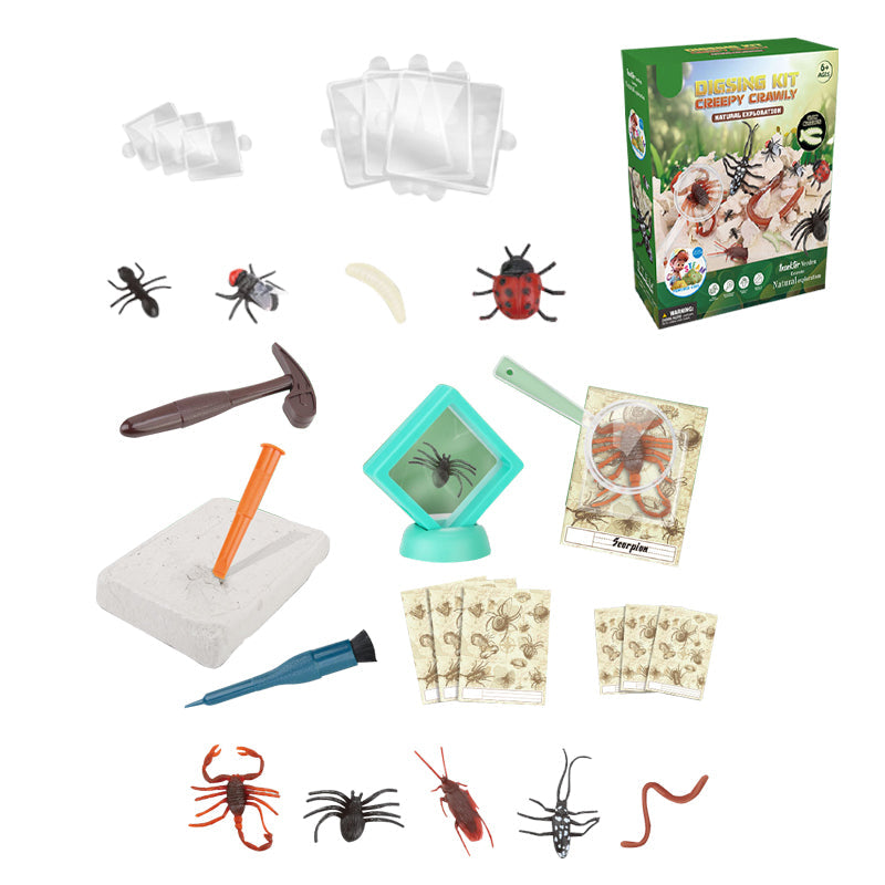 Digsing Kit Creepy Crawly