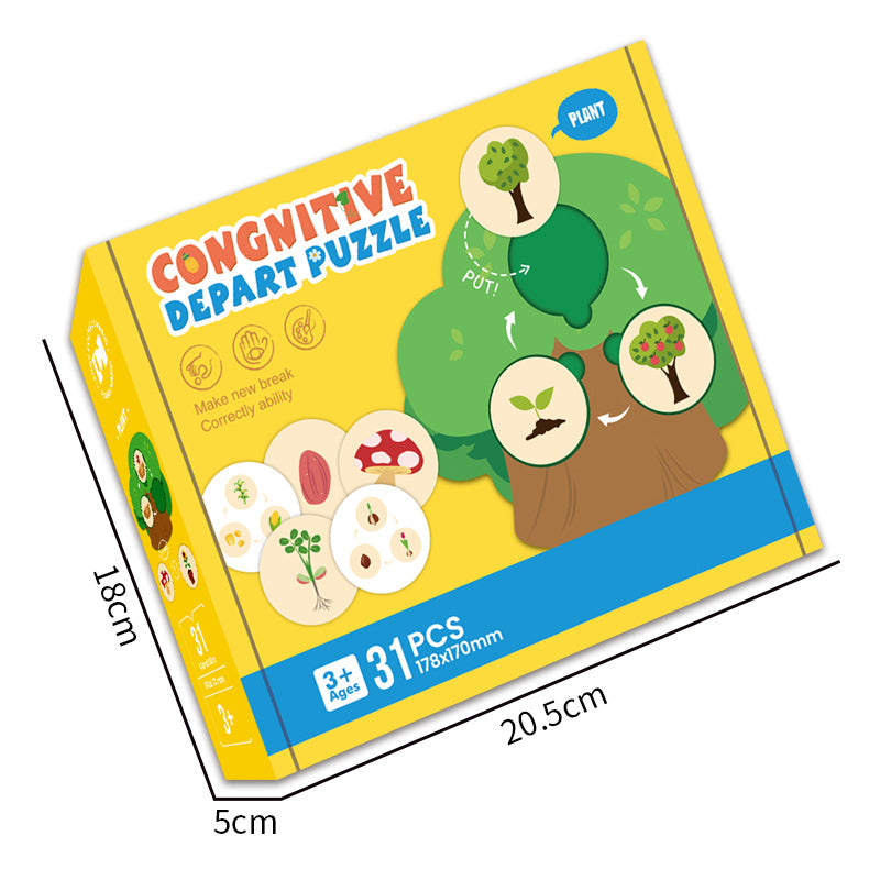 31PCS Cognitive Puzzle