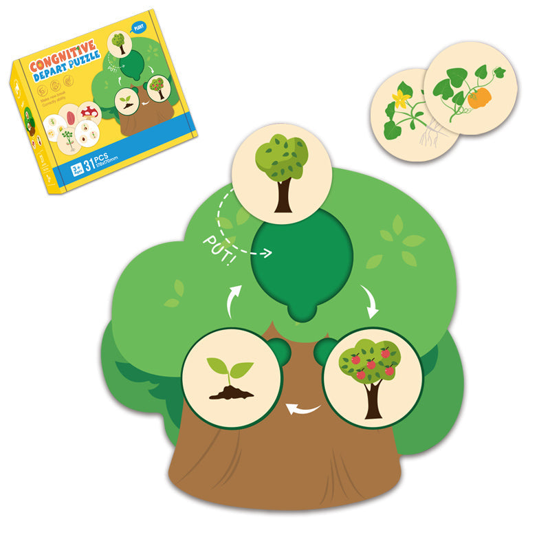 31PCS Cognitive Puzzle