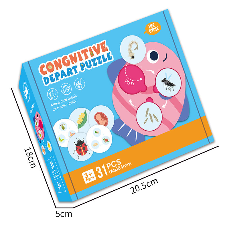 31PCS Cognitive Puzzle