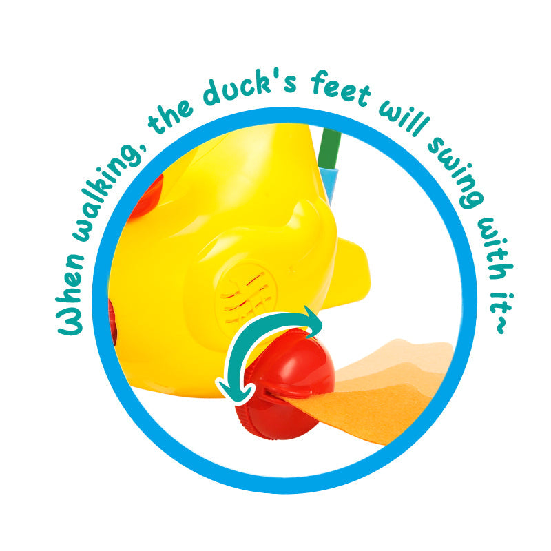 Pull-Go Duck
