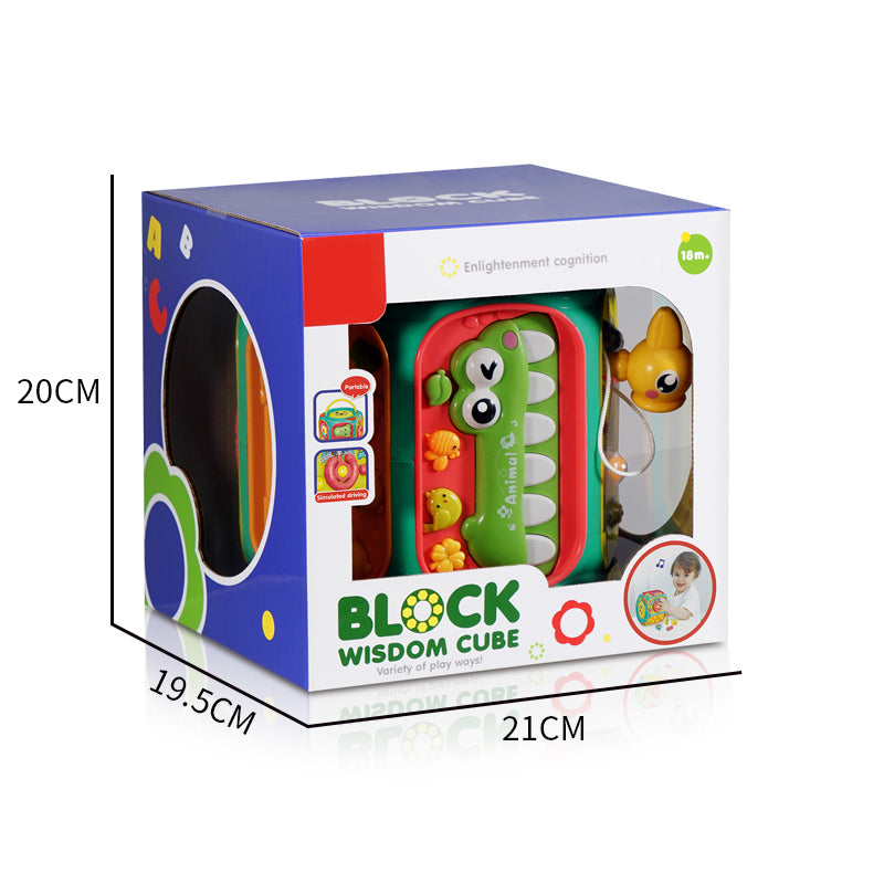 Block Wisdom Cube