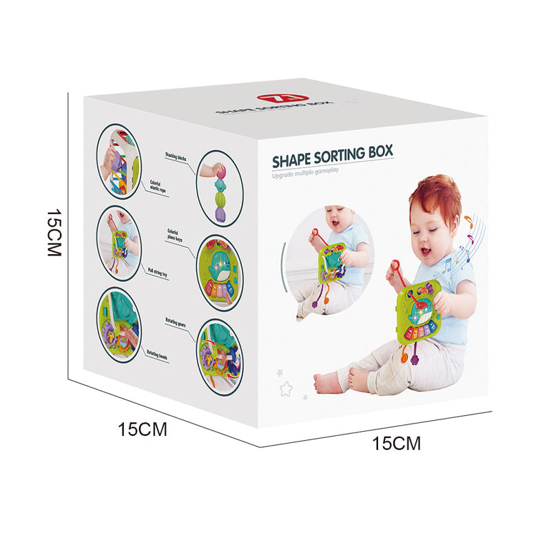 Shape Sorting Box Educational Toys