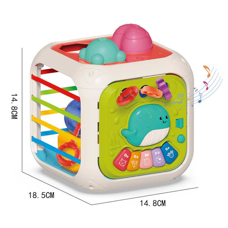 Shape Sorting Box Educational Toys