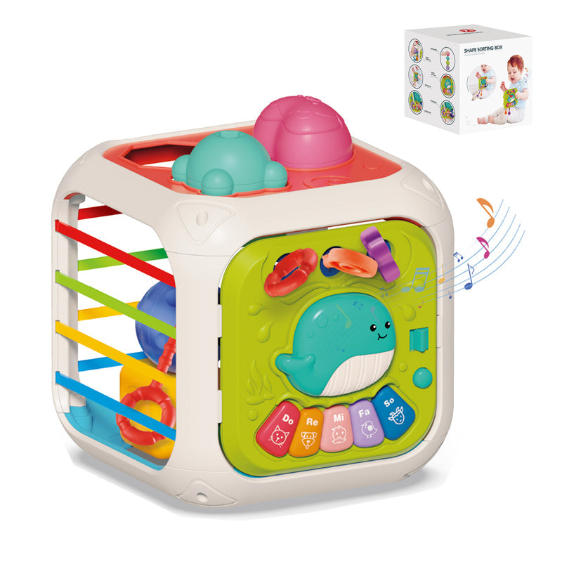 Shape Sorting Box Educational Toys