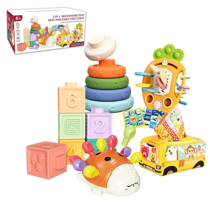 5 In 1 Early Education Toy
