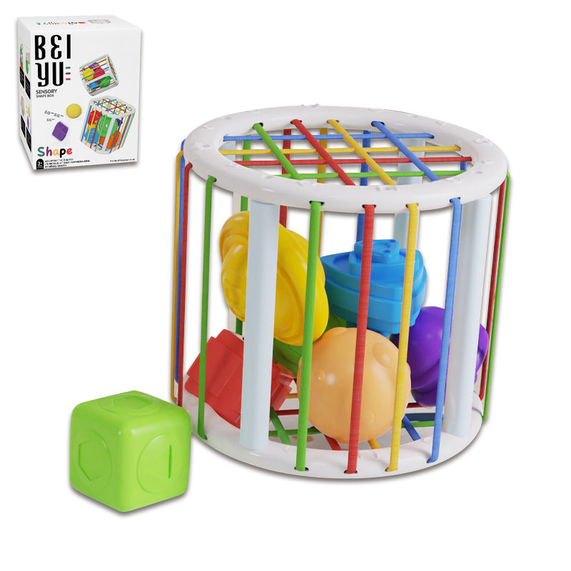 2 Asstd Sensory Shape Box