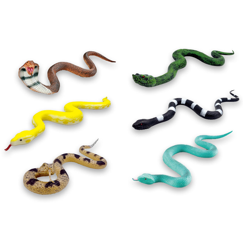 六款蛇-眼镜蛇&响尾蛇&蓝叶青&黄金蟒&银环蛇&莽山烙铁头蛇