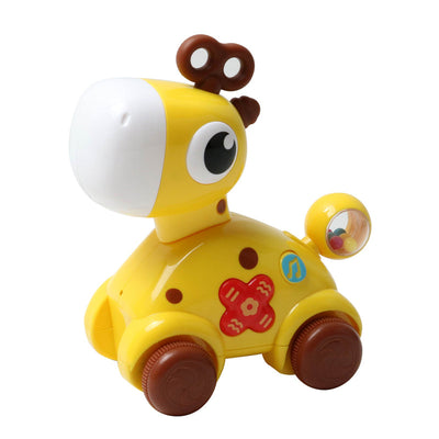 B/O Giraffe