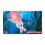 B/O Dance Octopus 3-C Ass'D