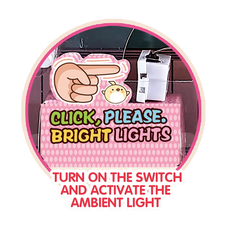 12 Inch + 6 Inch Fashion Doll Set With Light