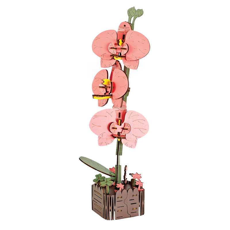 DIY 3D木制拼装蝴蝶兰花拼图
