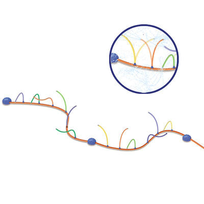 户外喷水游戏套装