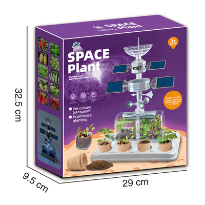 太空植物