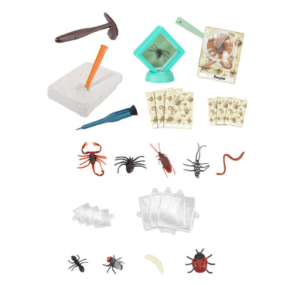 Digsing Kit Creepy Crawly