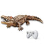 2.4G R/C Crocodile
