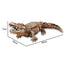 2.4G R/C Crocodile