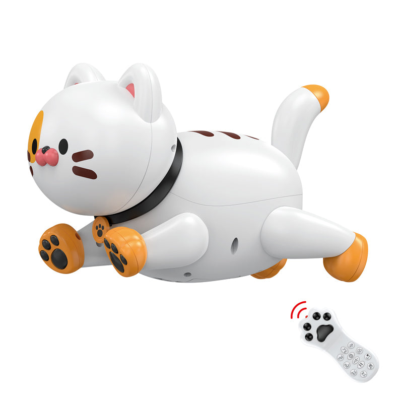 R/C Cat