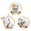 R/C Cat