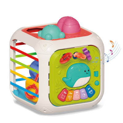 Shape Sorting Box Educational Toys